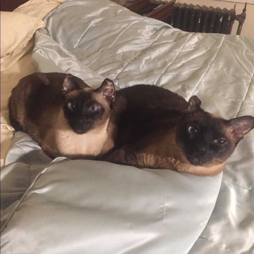 Meet your Posher, Kristine